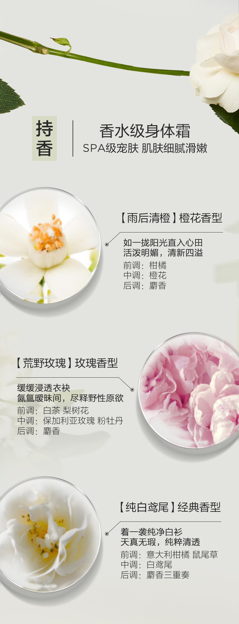 伊丽莎白雅顿/ELIZABETH ARDEN 白茶身体霜400ml