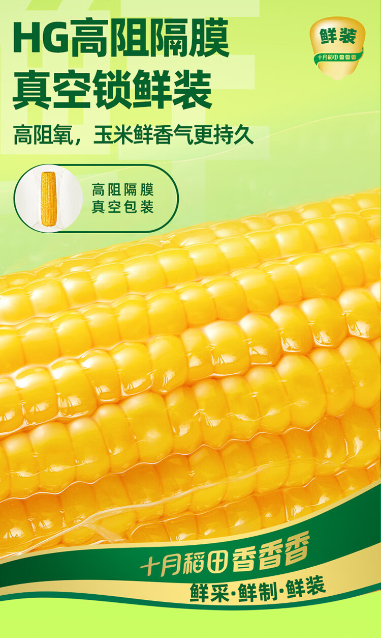 十月稻田 鲜食黄糯玉米1.32kg（220g*6）东北玉米