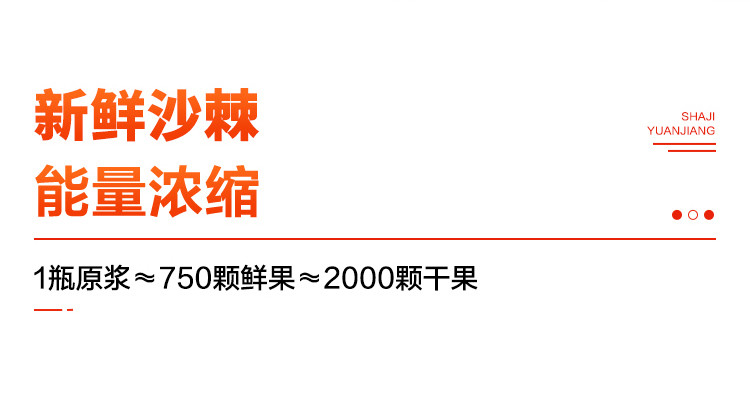 疆果果 沙棘原浆 新疆特产