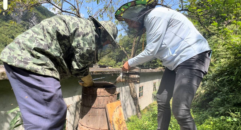 大美咸宜 高山生态土蜂蜜