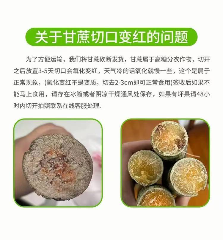 邮政农品 广西贵港木格白玉蔗5斤装