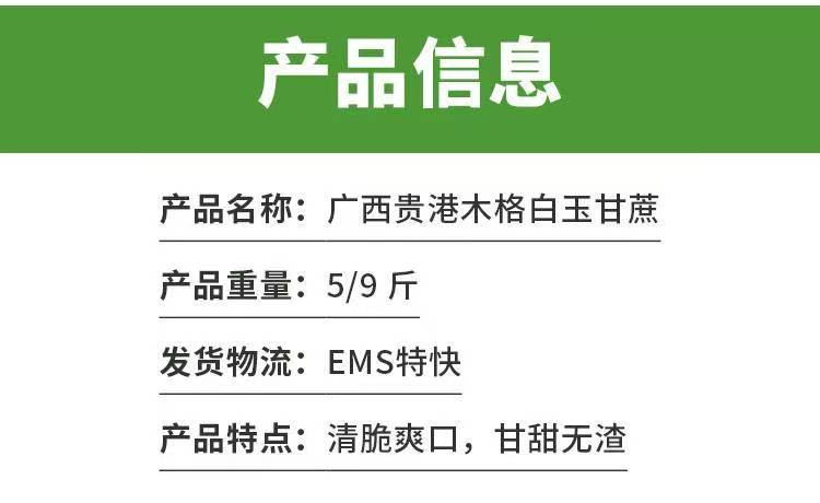 邮政农品 广西贵港木格白玉蔗5斤装