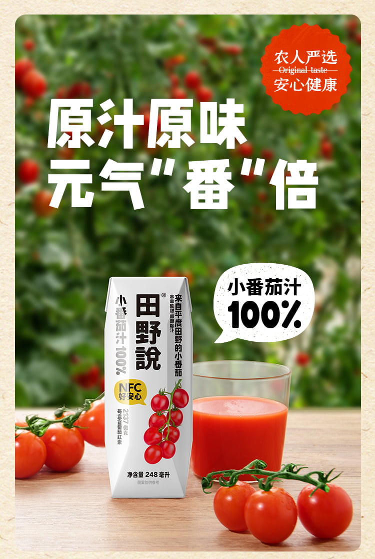 田野说 100%小番茄汁248ml*10瓶
