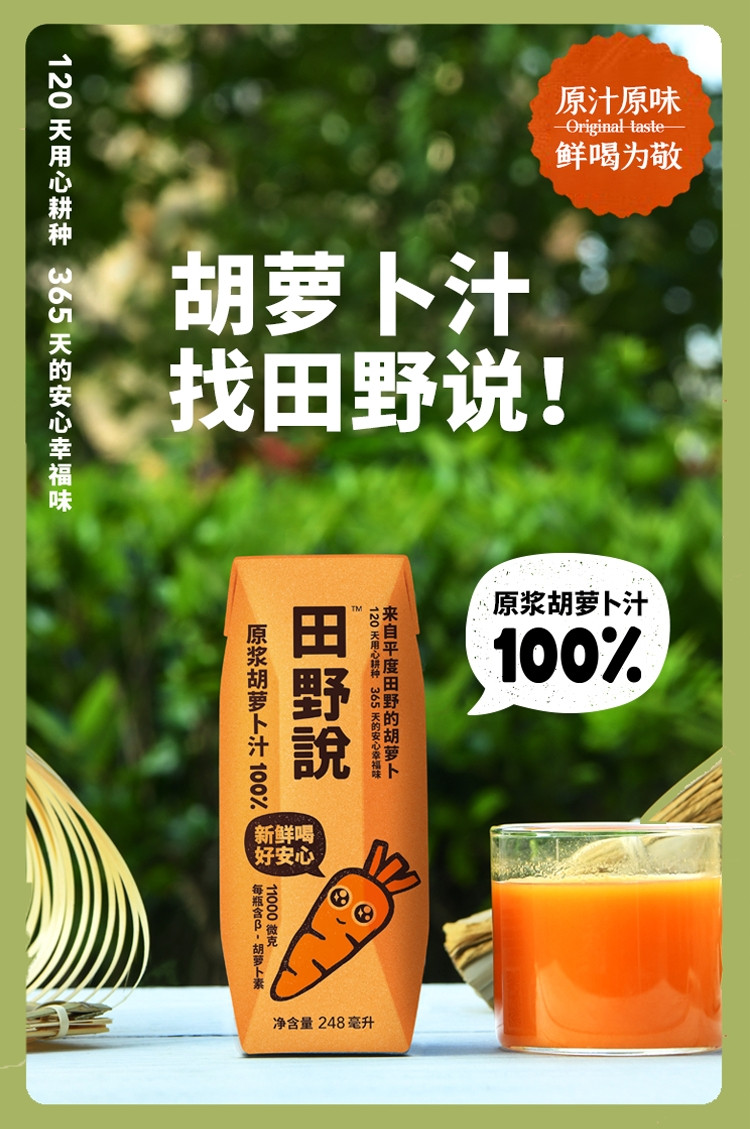 田野说 100%原浆胡萝卜汁248ml*10瓶