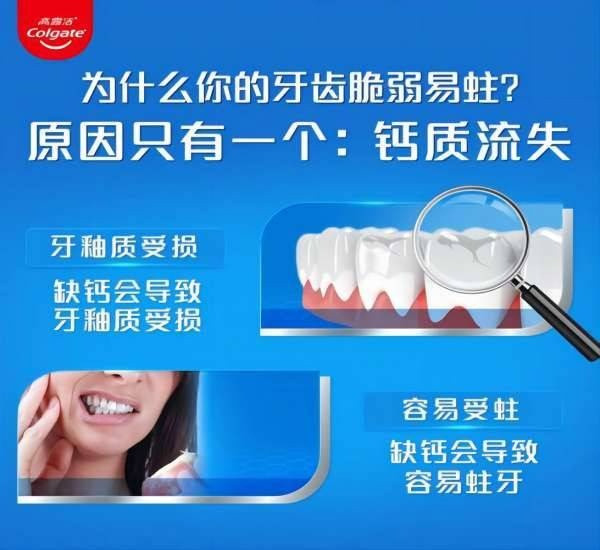 高露洁/Colgate 防蛀清新香型牙膏250g（加送两支牙刷）