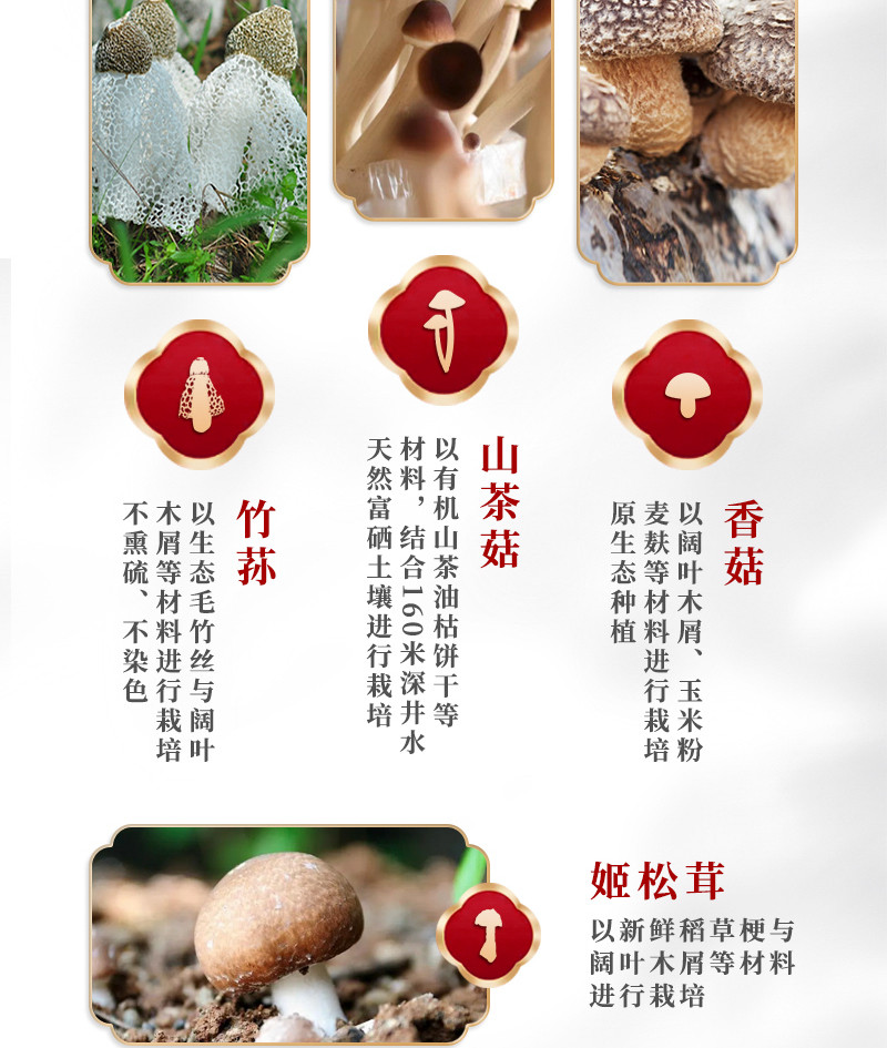 自产自销 精选菌菇包靓汤煲五种菌菇组合包40g*1袋五彩菌菇汤包