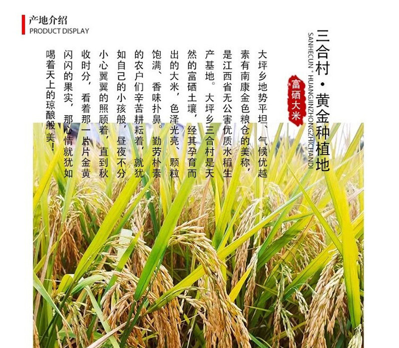 三谷粮元 赣南天然富硒大米含硒大米当季新鲜大米6斤礼盒装
