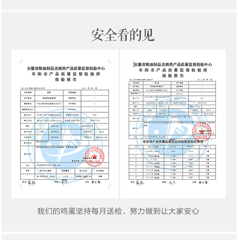 田园居 手工包制溏心变蛋皮蛋