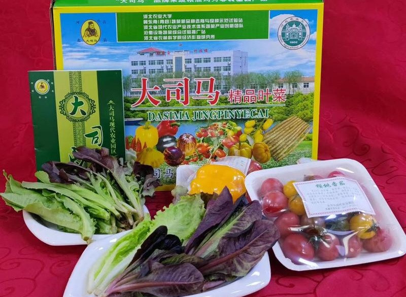农家自产自销 青县司马庄精品蔬菜礼盒（京津冀以外不保时效）