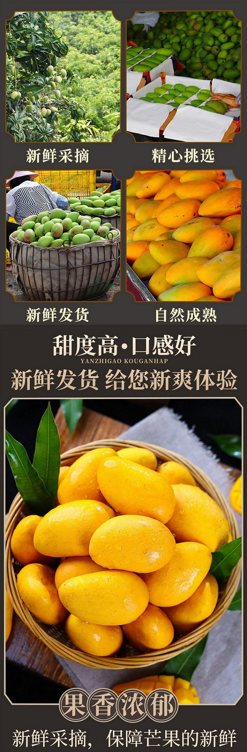 土背篓 新鲜水果广西百色特产台农芒果今年新货