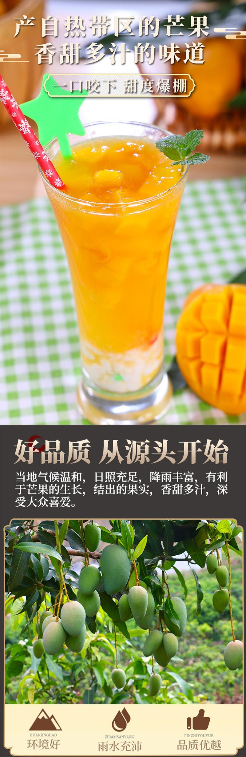 土背篓 新鲜水果广西百色特产台农芒果今年新货