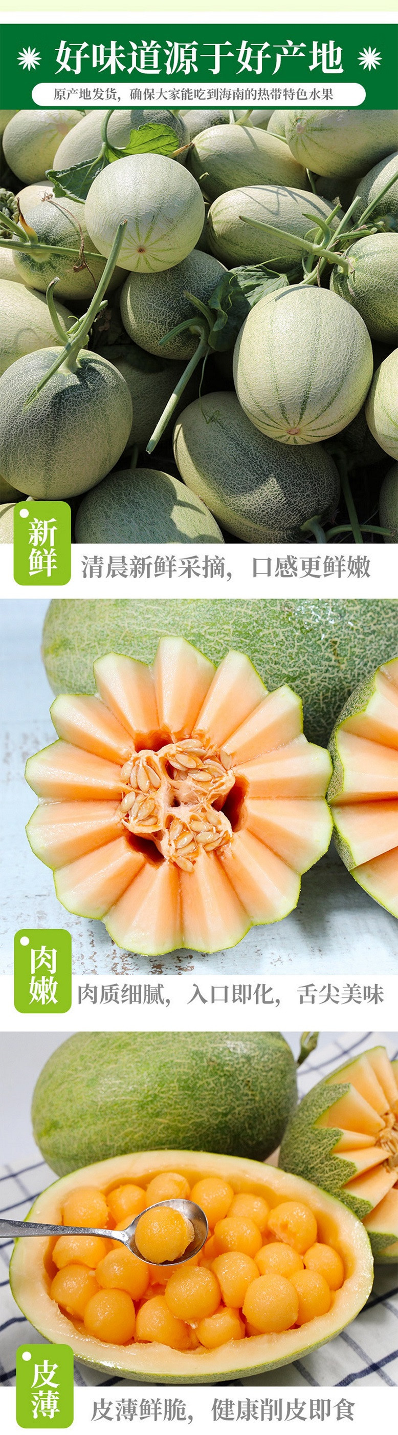 土背篓 【硬脆软糯两吃】新鲜水果哈密瓜今年新货