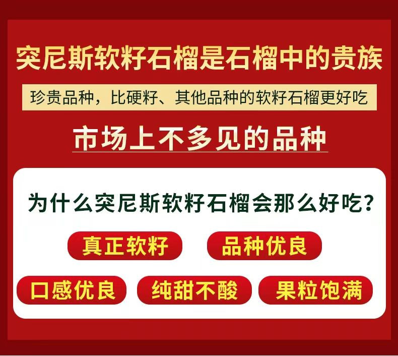 土背篓 四川突尼斯软籽石榴果粒饱满香甜多汁应季水果新鲜采摘