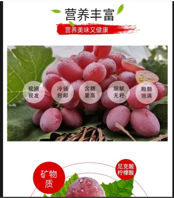 葡萄 无籽红提