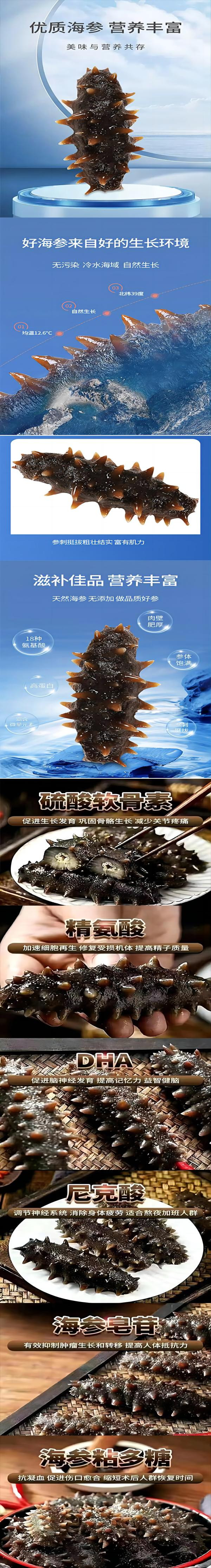 福供优简 鲜食海参500g