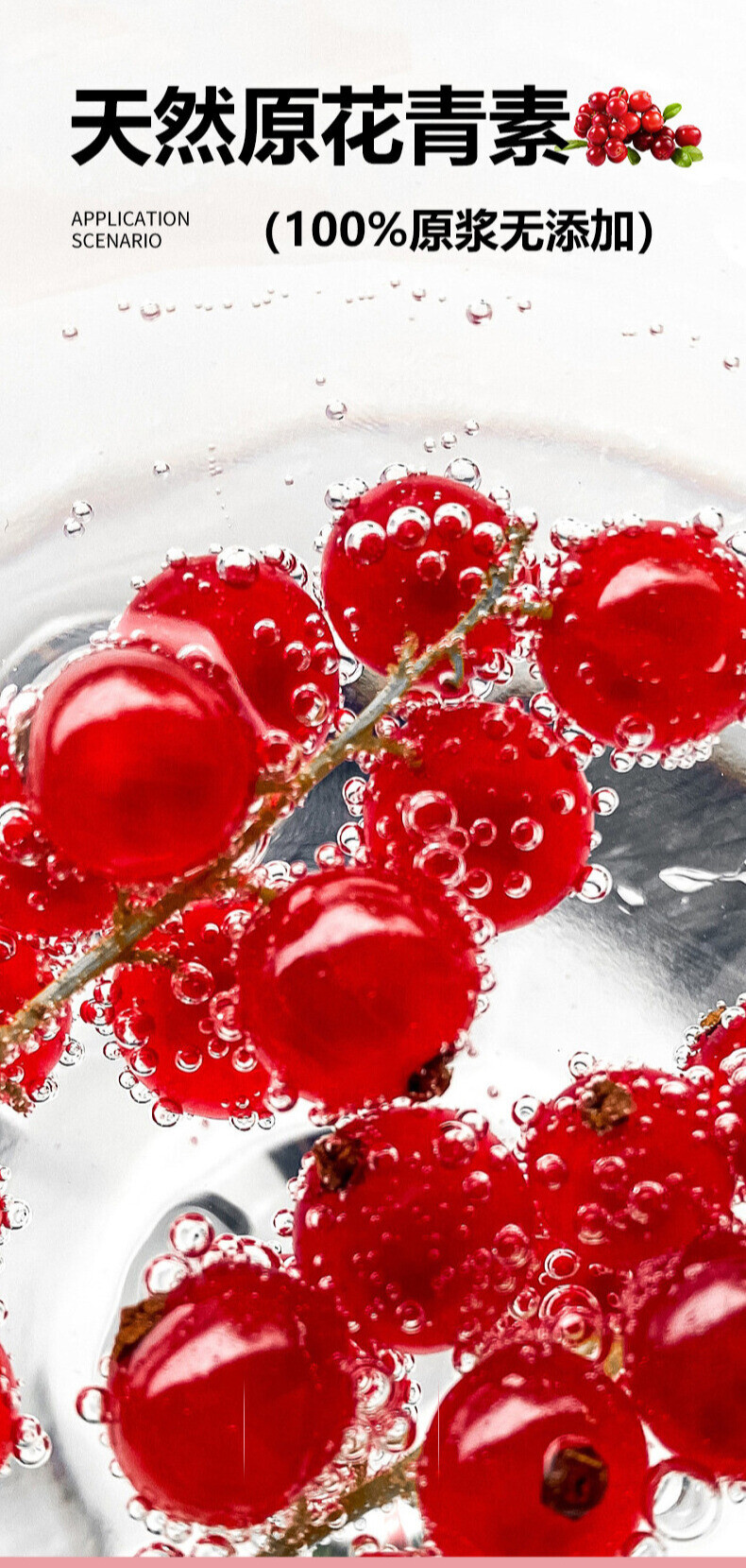 北极阳光 蔓越莓花青素 拍1发3