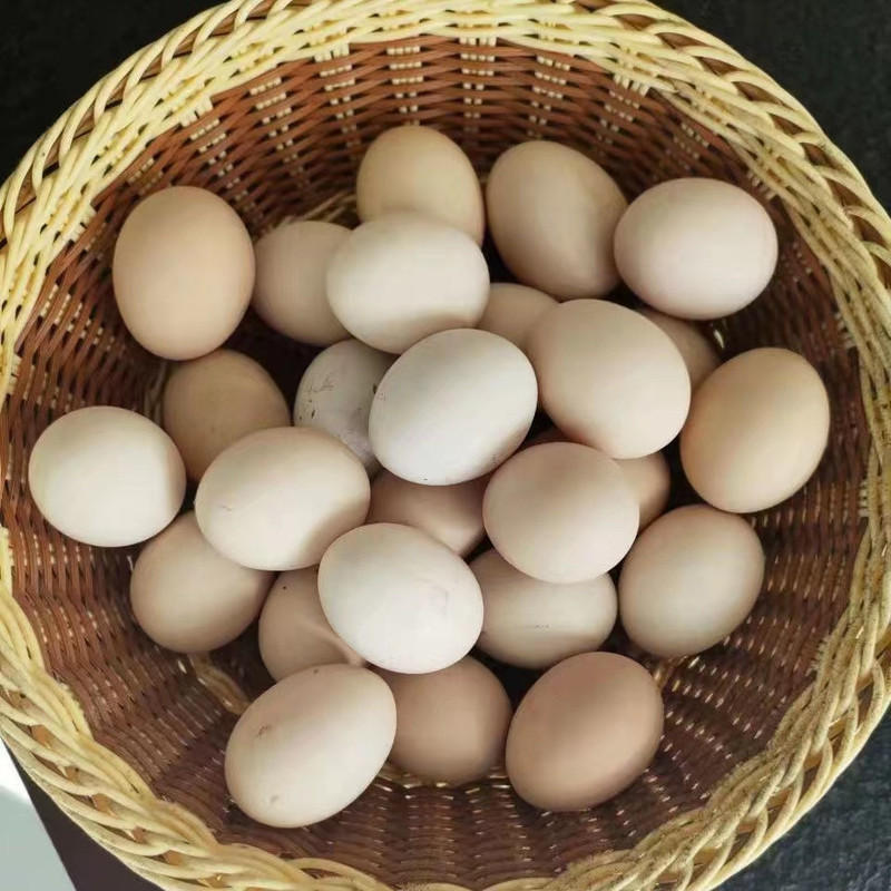 卡普瓦斯 正宗土鸡蛋散养柴鸡蛋营养笨鸡蛋新鲜孕妇儿童