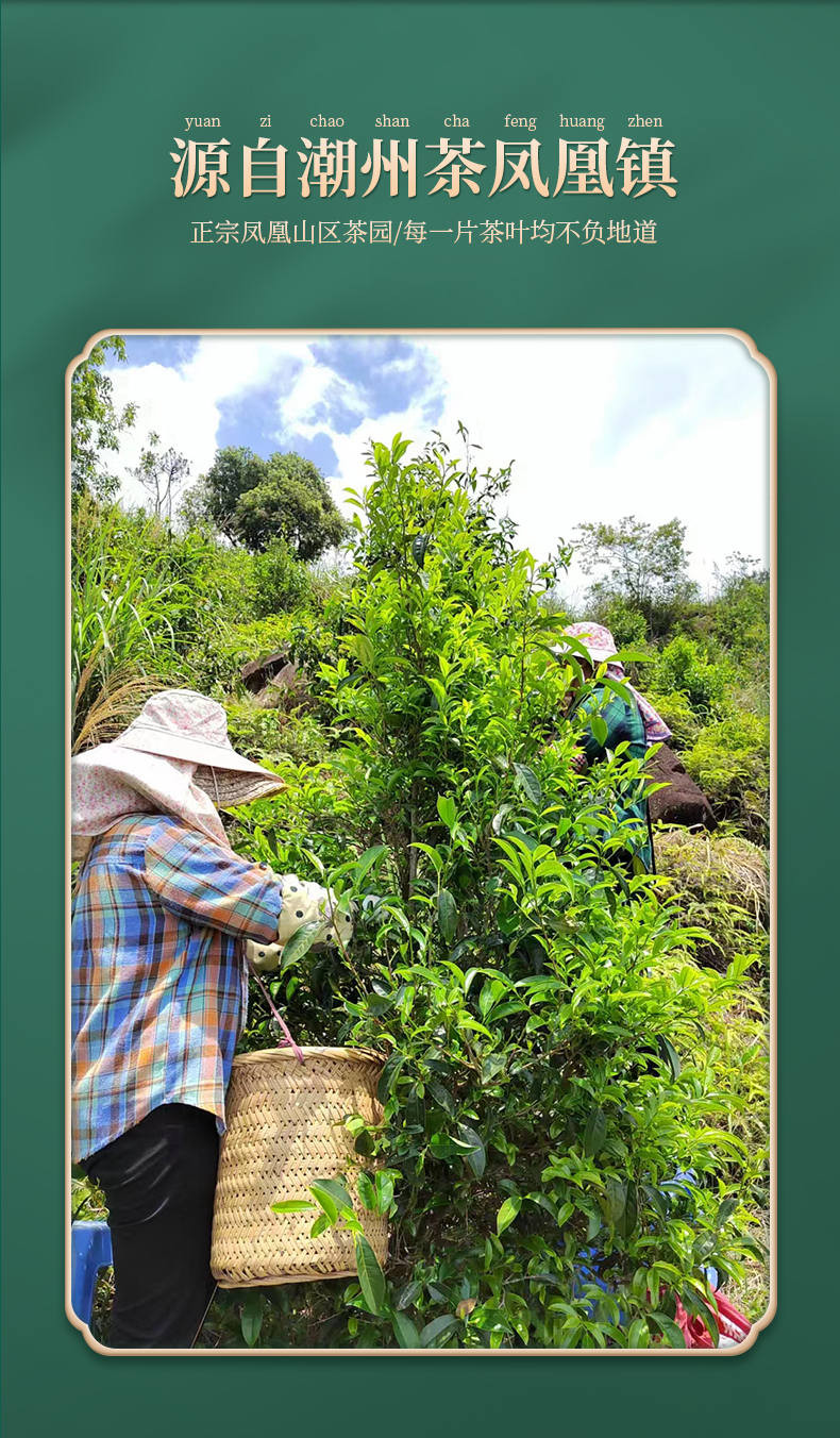 良西农场 潮州凤凰单丛茶鸭屎香75g*2罐送礼袋