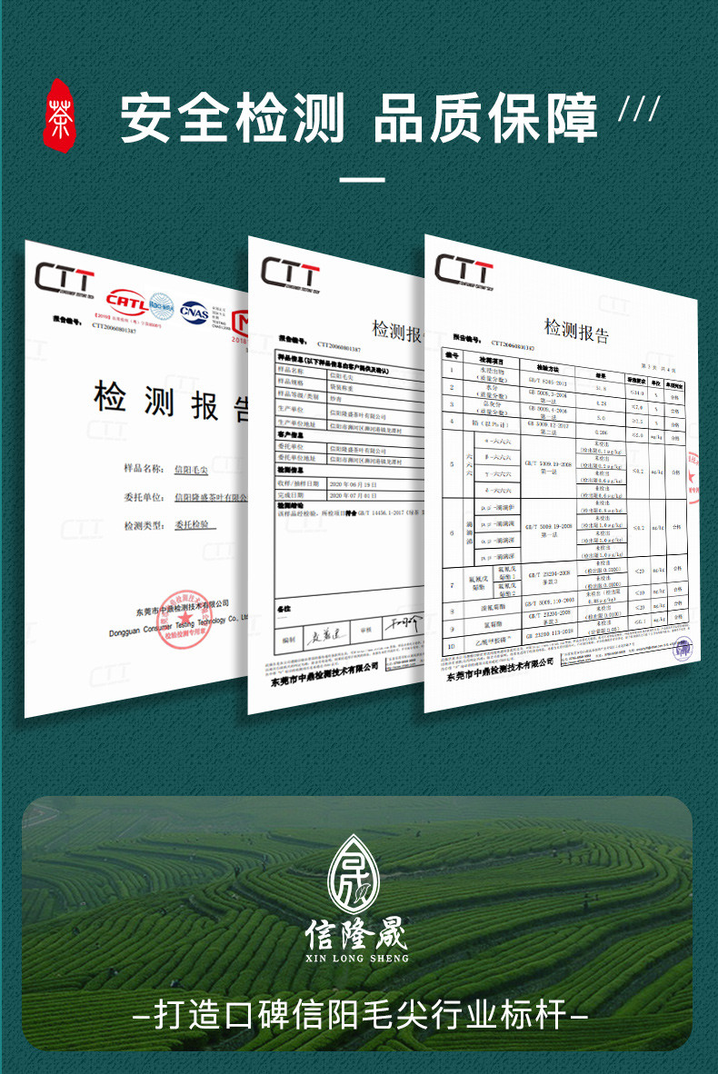 信隆晟 信阳毛尖茶叶高山云雾200g简装2023年黑龙潭茶