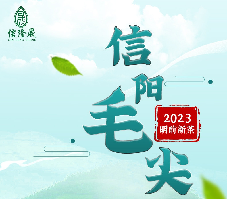 信隆晟 信阳毛尖茶雨前嫩叶绿茶250g礼盒装黑龙潭新茶