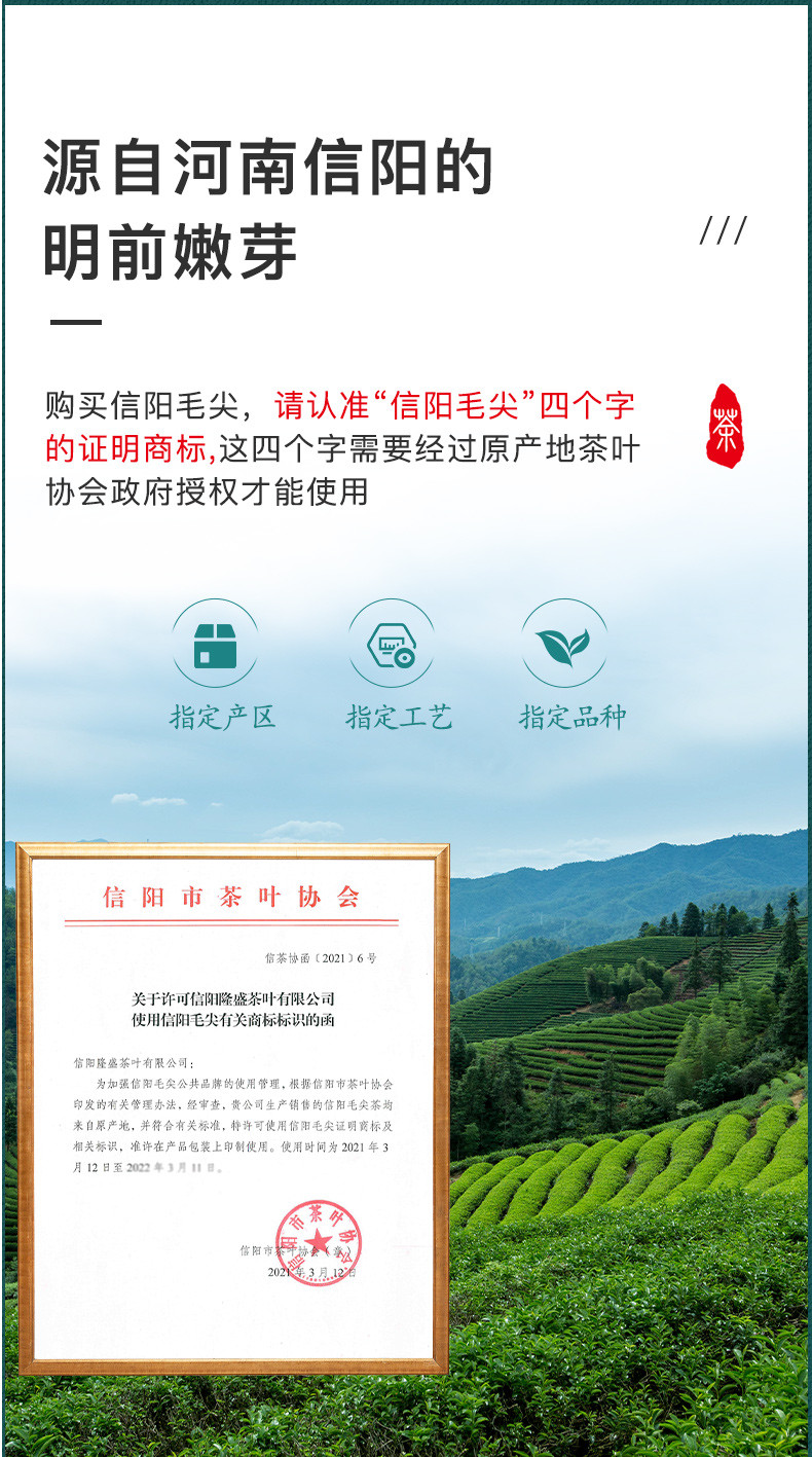 信隆晟 信阳毛尖茶雨前嫩叶绿茶250g礼盒装黑龙潭新茶