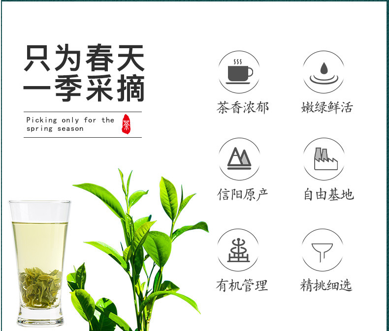 信隆晟 信阳毛尖茶雨前嫩叶绿茶250g礼盒装黑龙潭新茶