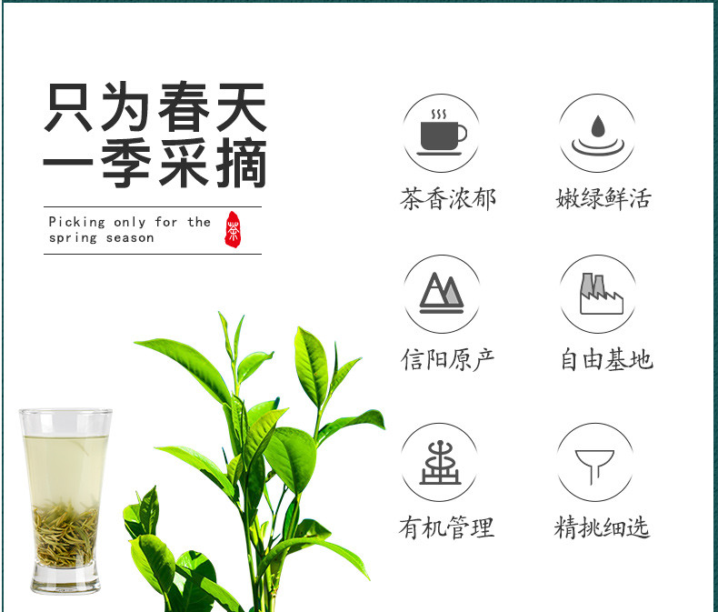 信隆晟 【信阳邮政】信阳毛尖茶明前特级嫩芽如初100克礼盒装