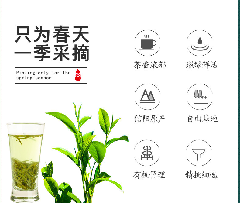 信隆晟 【信阳邮政】信阳毛尖茶叶明前茶高山云雾嫩叶绿茶200克礼盒装