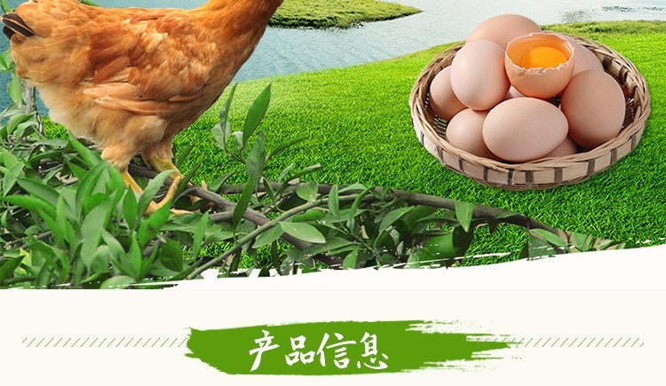 琼艺 河南农家30枚新鲜土鸡蛋柴鸡蛋笨鸡蛋生鲜鸡蛋营养土鸡蛋