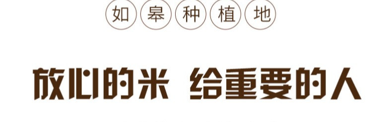 梓韵 如皋恒孚 梓韵大米 有机米 天然含硒大米 10斤礼盒装