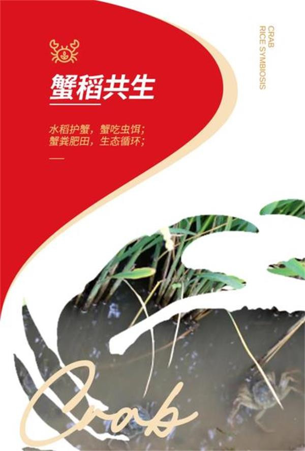 寒财稻 蟹田稻圆粒1号大米体验装 200克袋