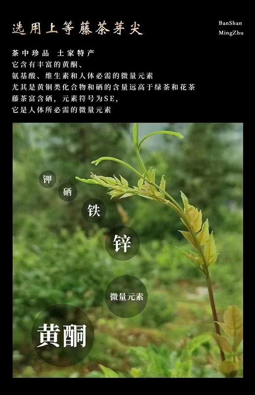 尝诺 大山深处养生龙须藤茶240g/盒