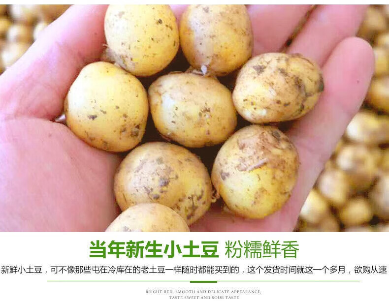 尝诺 恩施小土豆含硒高山黄心马铃薯新鲜蔬菜生鲜带箱 5斤装