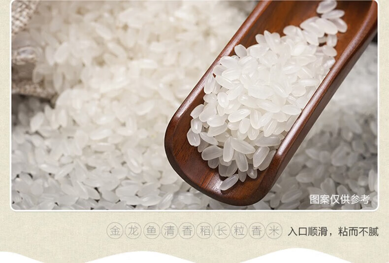 金龙鱼 清香稻长粒香米500g/袋东北大米袋装 家用蒸煮米饭熬 500克