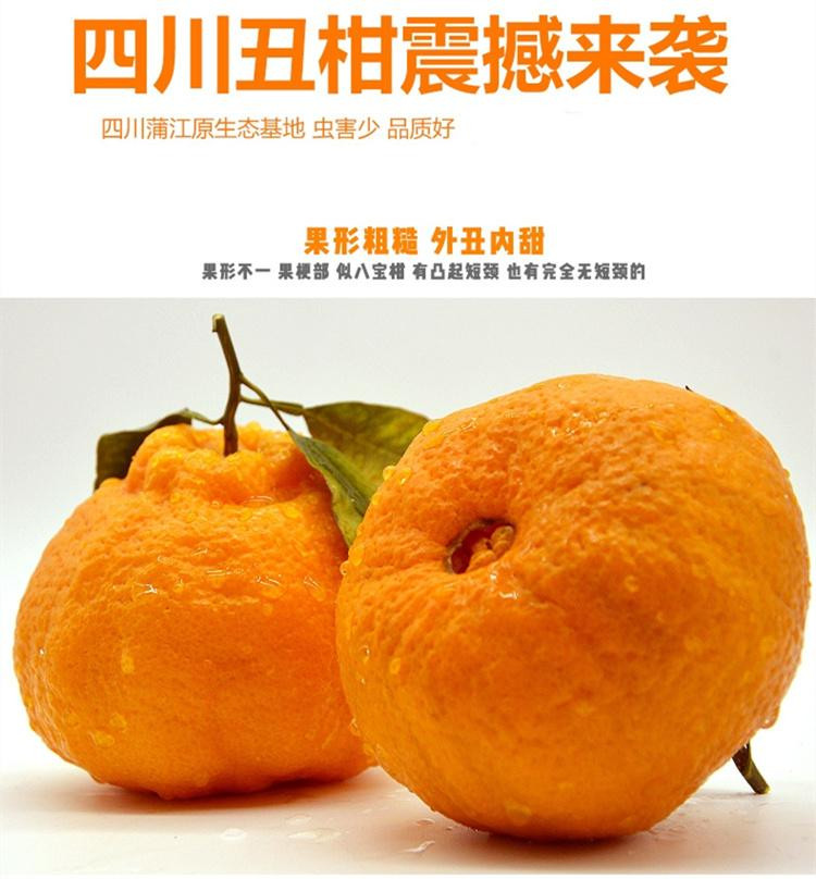 鲜农丰物 【京东快递】四川丑柑不知火丑橘酸甜脆爽多汁新鲜水果