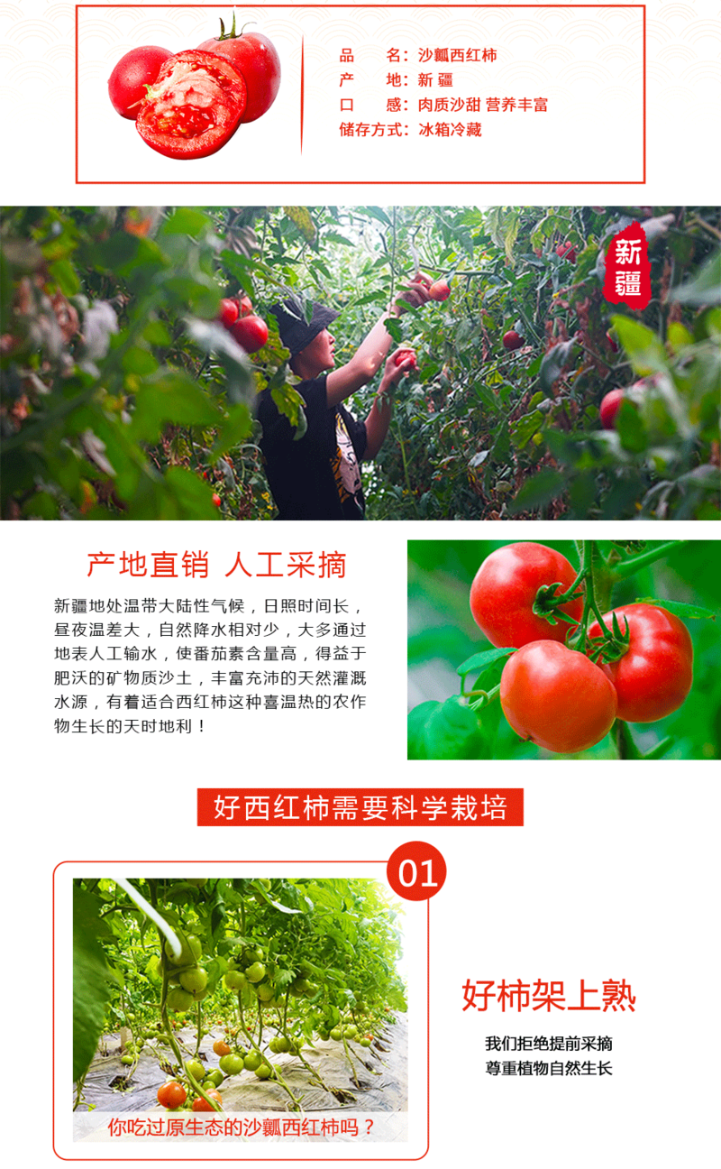 鲜农丰物 【顺丰包邮】新疆沙瓤番茄西红柿约5斤家庭装现摘农家时令新鲜果