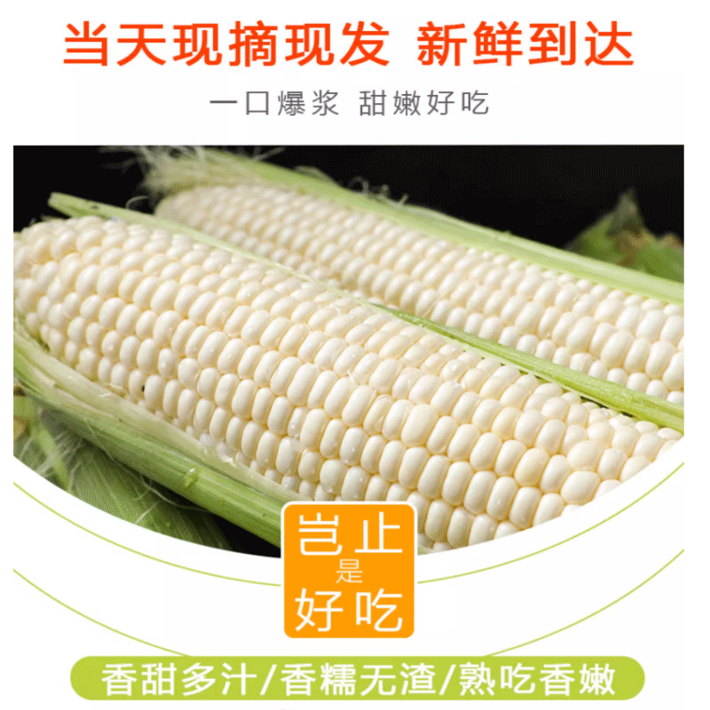 鲜农丰物 临安本地玉米甜糯玉米5斤农家种植新鲜采摘