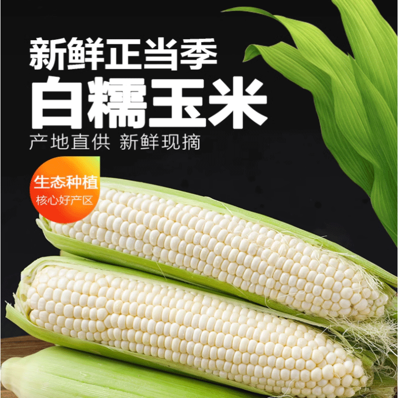 鲜农丰物 临安本地玉米甜糯玉米5斤农家种植新鲜采摘