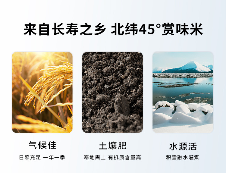 三人行  雪山香米稻香米现磨新米当季新米东北大米 2.5 公斤