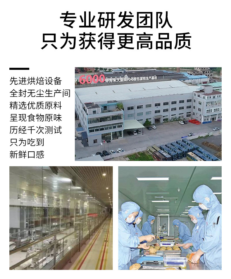 木马季  凤台邮政消费帮扶黑麦全麦面包早餐代餐粗粮饱腹整箱批发