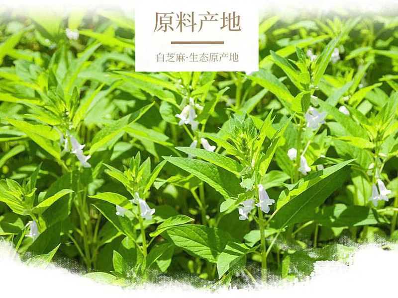 健仙 纯芝麻香油1.6L纯芝麻压榨火锅蘸料凉拌菜蒸菜家用