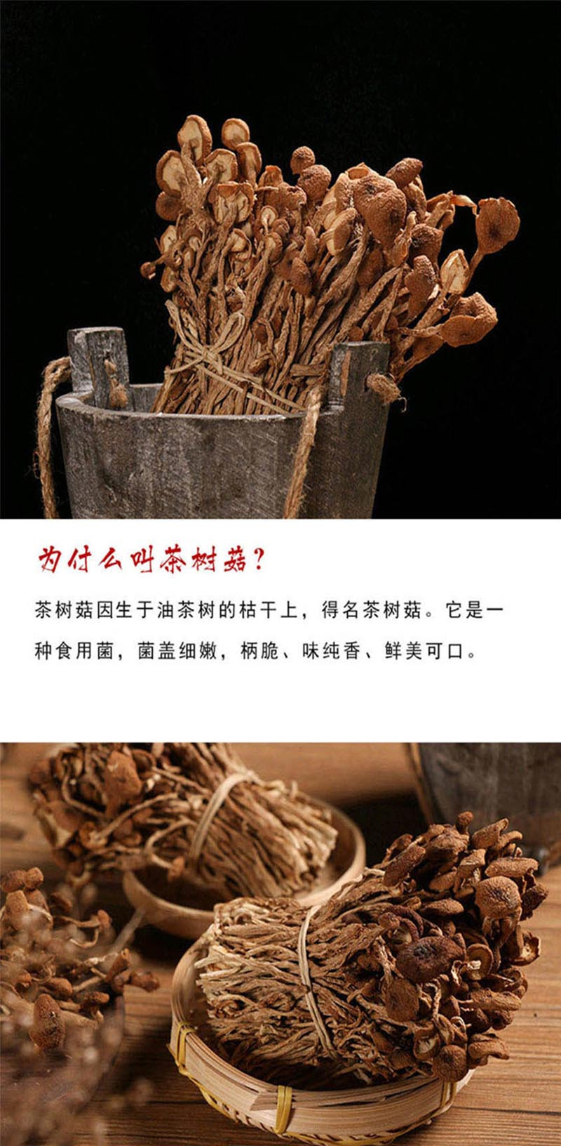  手绘小镇 洛阳农品 茶树菇250g嵩县特产新鲜菌菇干货优质山珍