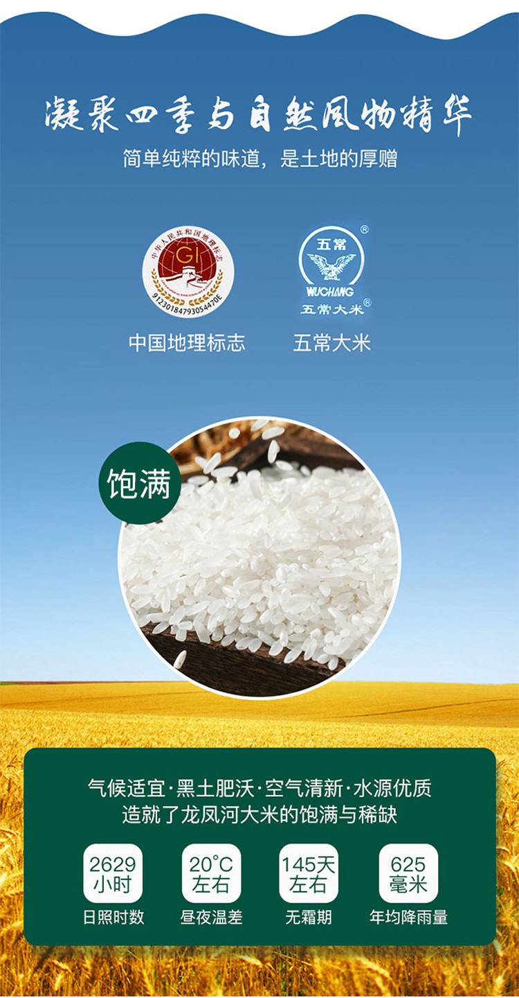 龙凤河 五常长粒大米 当季新米 长粒香米 10 斤