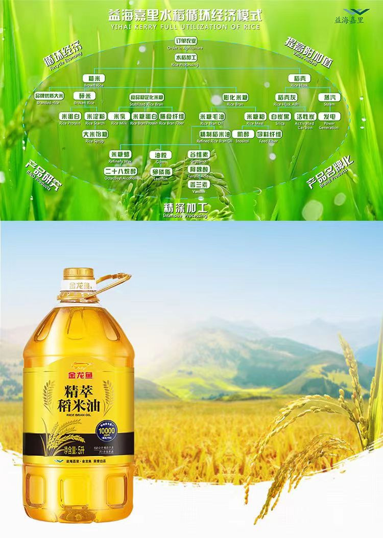 金龙鱼 精萃稻米油 5L