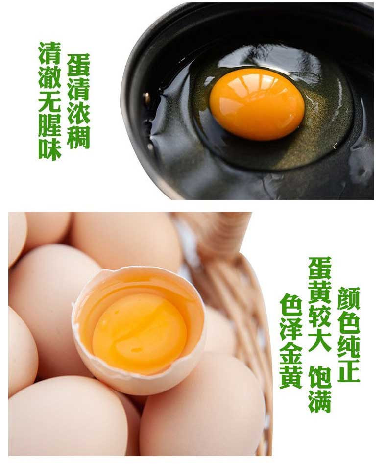  襄梦 襄阳农副产品鲜鸡蛋