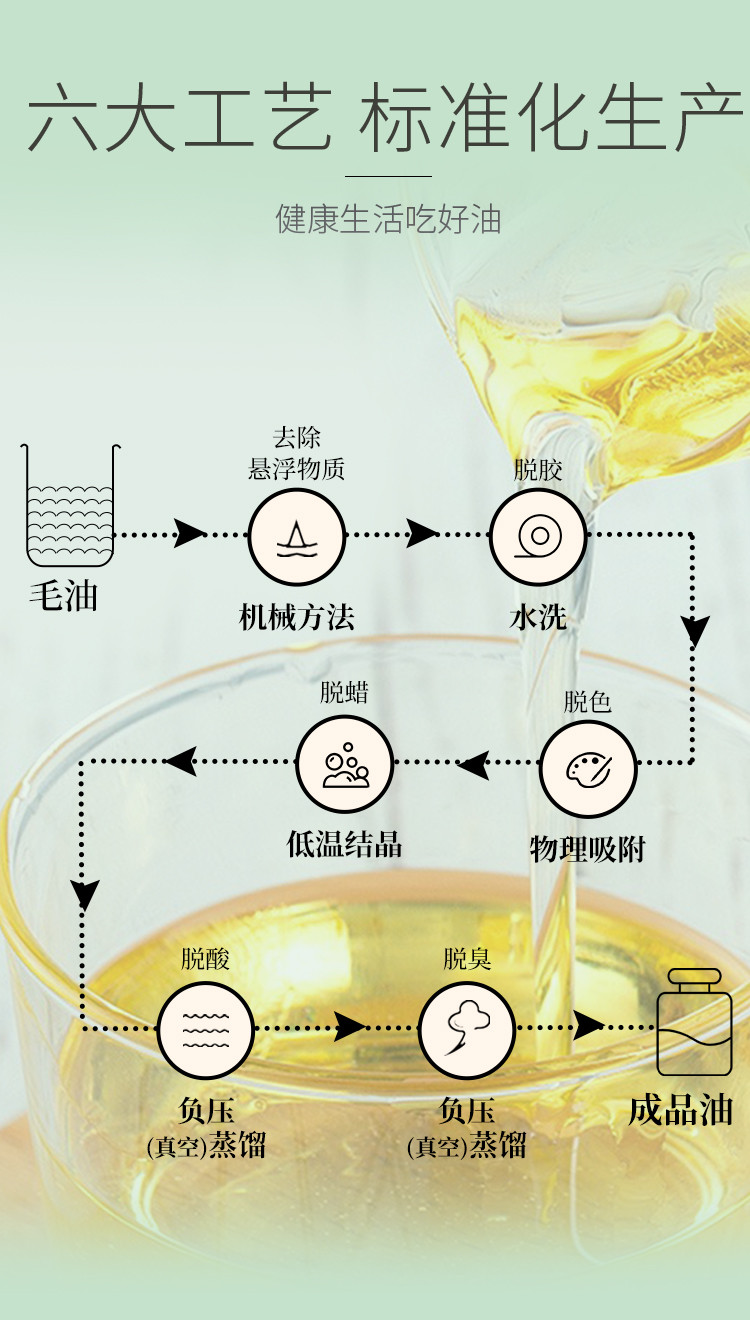 绿洲果实 新疆塔城绿洲果实1L亚麻*2礼品食集礼盒