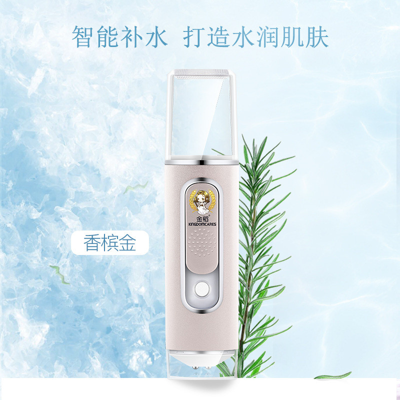 金稻 迷你喷雾器纳米补水仪手持蒸脸器便携式小型脸部冷喷KD77I