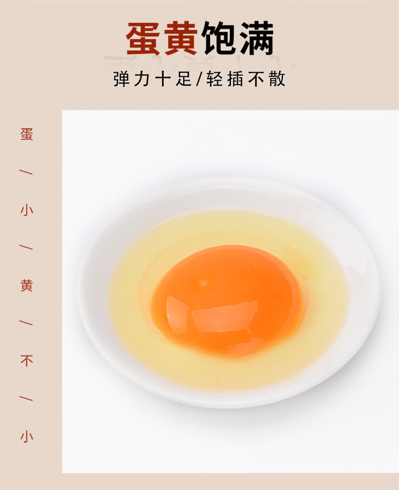  【邮乐自营】 德案蛋 林间散养土鸡蛋 6枚装（40g左右/枚）