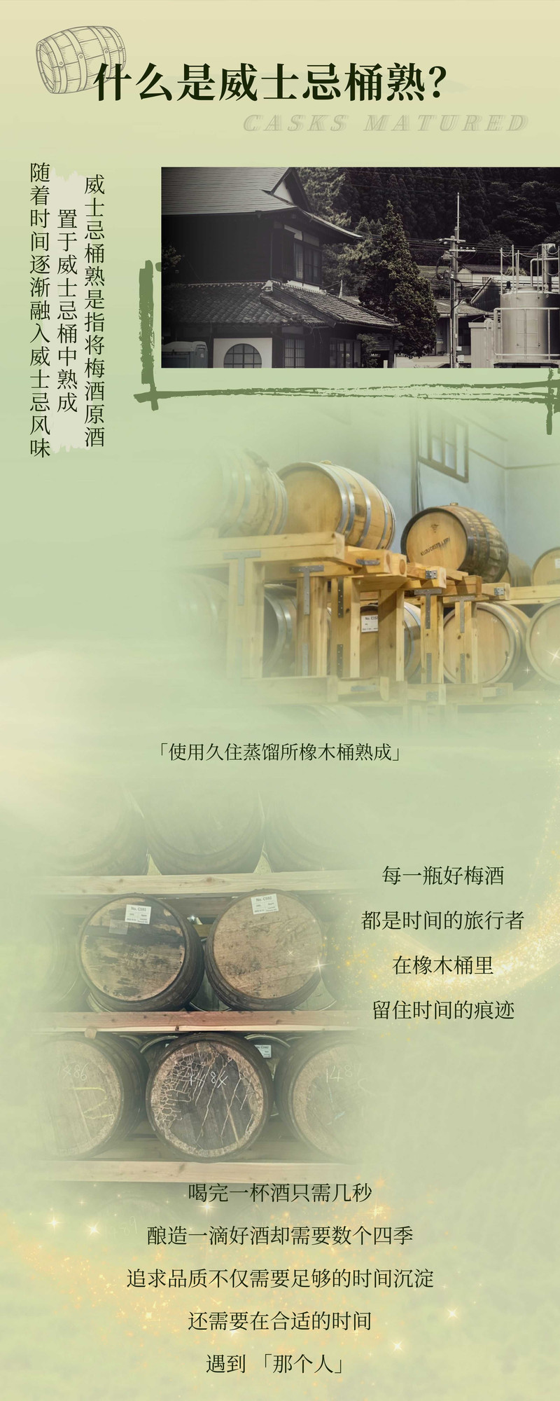  津崎 原瓶进口上质梅酒一年熟成限定版 威士忌桶内熟成1年的本格梅酒