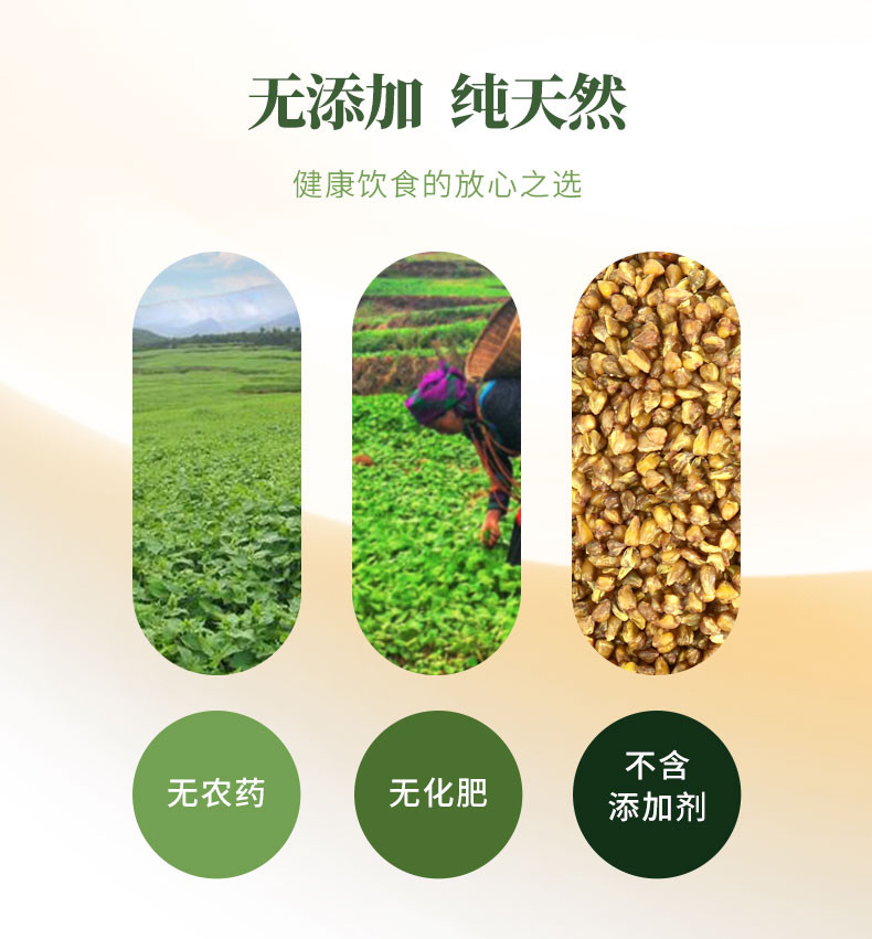  苦荞米云南甄选农家自种优质五谷杂粮 荞益家 可自制苦荞茶